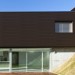 Фасадная панель из ДПК WOODVEX Венге купить в Балаково