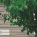 Сайдинг Ю-Пласт TIMBERBLOCK Пихта (Тимберблок) Cахалинская купить в Балаково