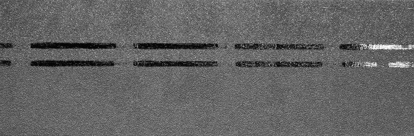 Коньково-карнизная черепица Docke Premium, черника купить в Балаково