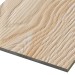 Фиброцементные панели FCSPRO Decor Wood Лиственница купить в Балаково