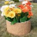 Цветник КАНЬОН купить в Балаково